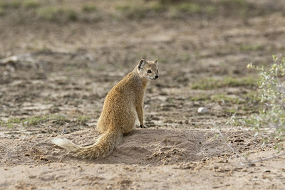 BUITEN BEELD Foto: 316539