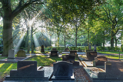 BUITEN BEELD Foto: 316543