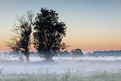 BUITEN BEELD Foto: 316551