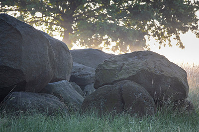 BUITEN BEELD Foto: 316564