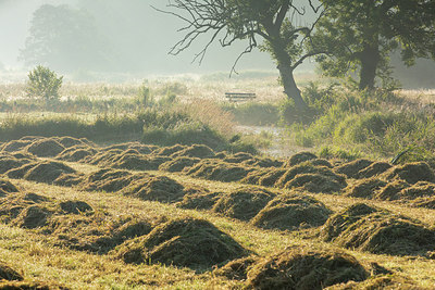 BUITEN BEELD Foto: 316566