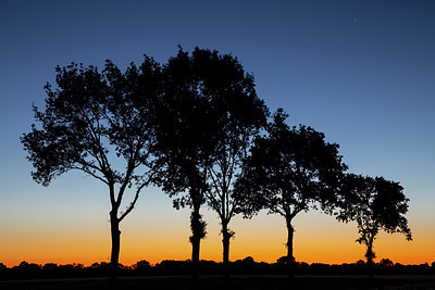 BUITEN BEELD Foto: 316571