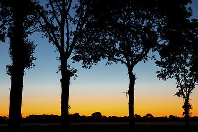 BUITEN BEELD Foto: 316572
