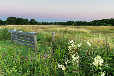 BUITEN BEELD Foto: 316573