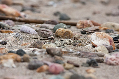 BUITEN BEELD Foto: 316601