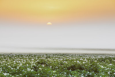 BUITEN BEELD Foto: 316628