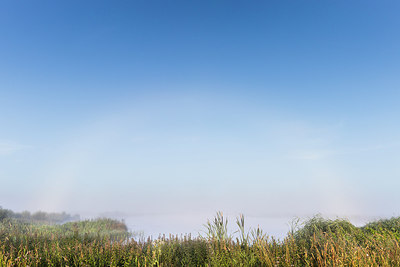 BUITEN BEELD Foto: 316633