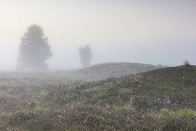 BUITEN BEELD Foto: 316639