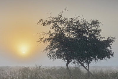 BUITEN BEELD Foto: 316652