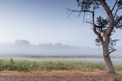 BUITEN BEELD Foto: 316657