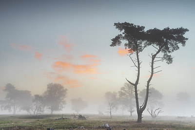 BUITEN BEELD Foto: 316659