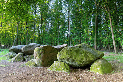 BUITEN BEELD Foto: 316669