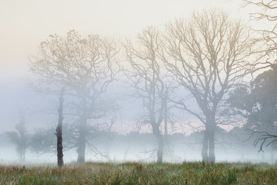 BUITEN BEELD Foto: 316743