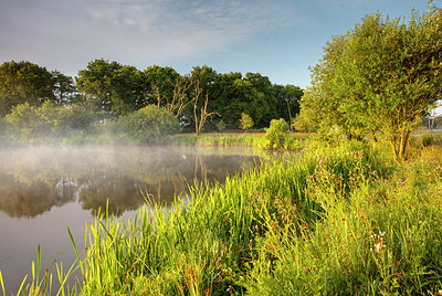 BUITEN BEELD Foto: 316752