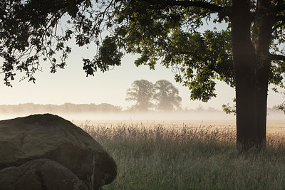 BUITEN BEELD Foto: 316759