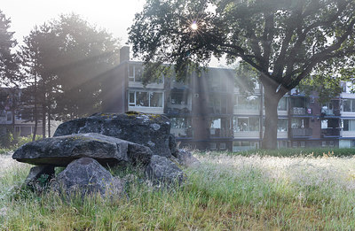BUITEN BEELD Foto: 316761