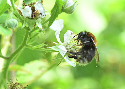 BUITEN BEELD Foto: 316763