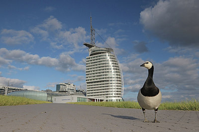 BUITEN BEELD Foto: 316776