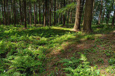 BUITEN BEELD Foto: 316915