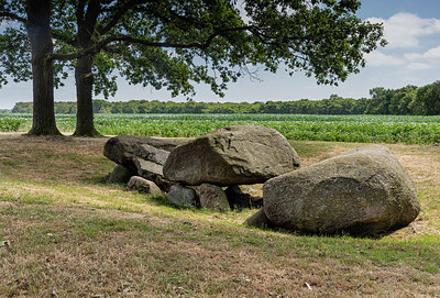BUITEN BEELD Foto: 316916