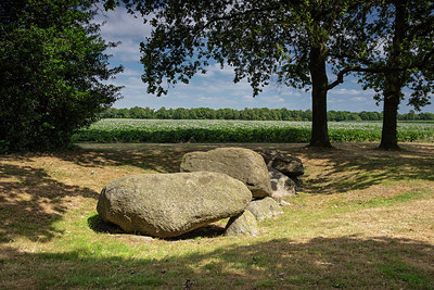 BUITEN BEELD Foto: 316921