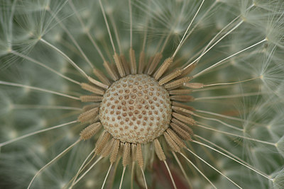 BUITEN BEELD Foto: 316959