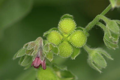 BUITEN BEELD Foto: 316966