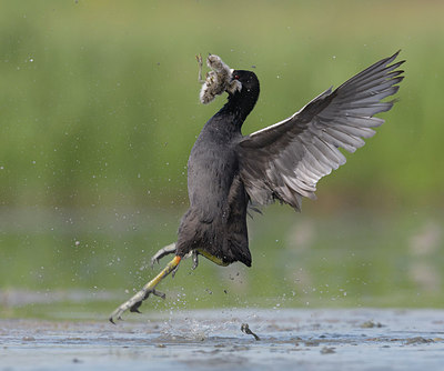 BUITEN BEELD Foto: 316988