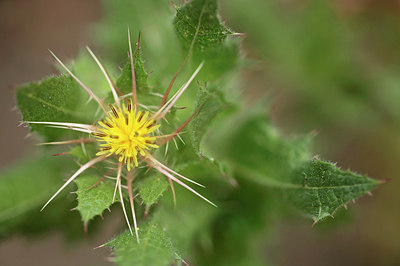 BUITEN BEELD Foto: 317004