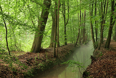 BUITEN BEELD Foto: 317006
