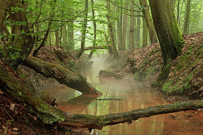 BUITEN BEELD Foto: 317007