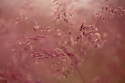 BUITEN BEELD Foto: 317028