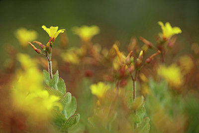 BUITEN BEELD Foto: 317038