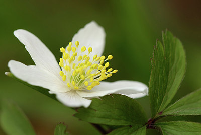 BUITEN BEELD Foto: 317092