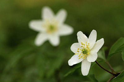 BUITEN BEELD Foto: 317096