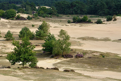 BUITEN BEELD Foto: 317103