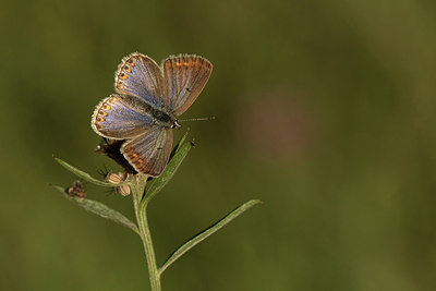 BUITEN BEELD Foto: 317122