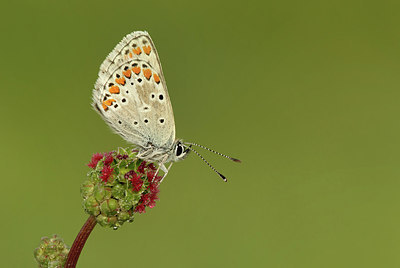 BUITEN BEELD Foto: 317140