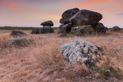 BUITEN BEELD Foto: 317167