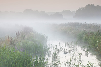 BUITEN BEELD Foto: 317180