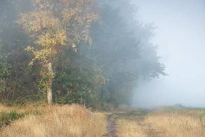 BUITEN BEELD Foto: 317181