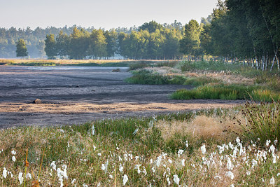 BUITEN BEELD Foto: 317185