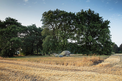BUITEN BEELD Foto: 317189