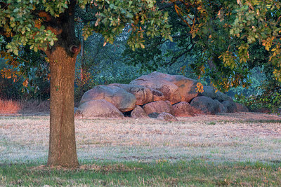 BUITEN BEELD Foto: 317195