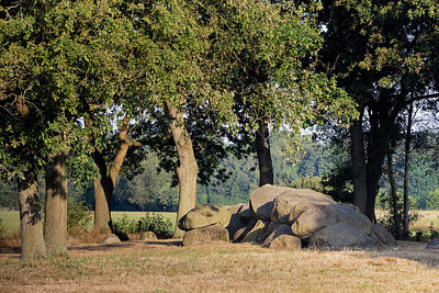 BUITEN BEELD Foto: 317196