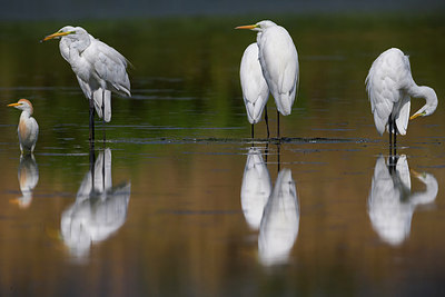BUITEN BEELD Foto: 317240