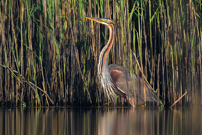 BUITEN BEELD Foto: 317260