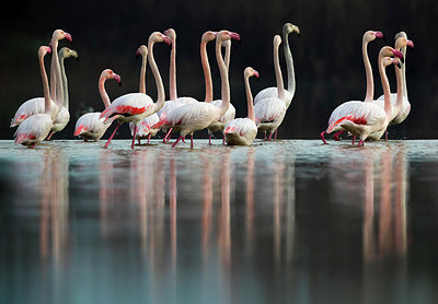 BUITEN BEELD Foto: 317375