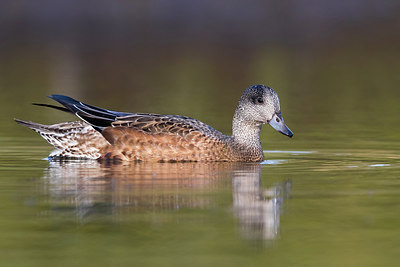 BUITEN BEELD Foto: 317381