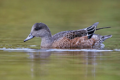 BUITEN BEELD Foto: 317400